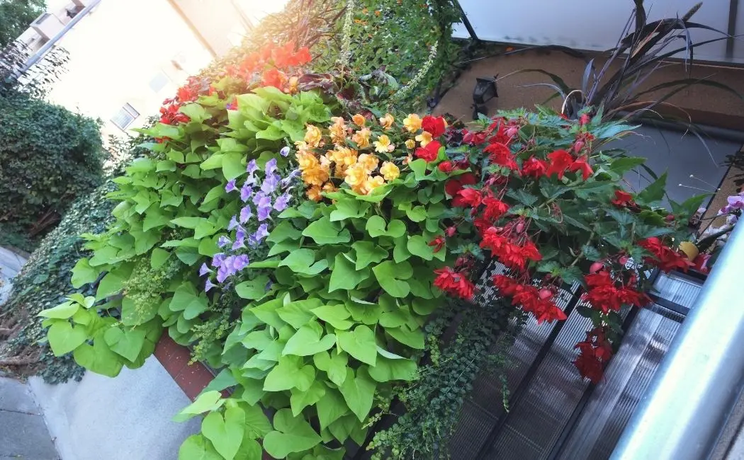 Jak przygotować mieszkanie na wiosnę?