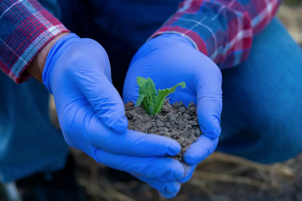 Bezpieczne środki ochrony roślin gwarancja polskiego producenta