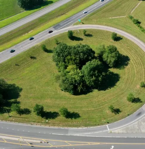 Nasiona traw na drogi i autostrady — to dzięki nim miasta się zazielenią!