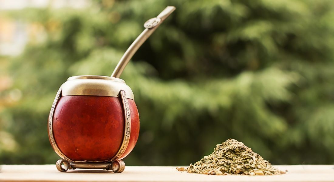 Czy yerba mate jest zdrowa?