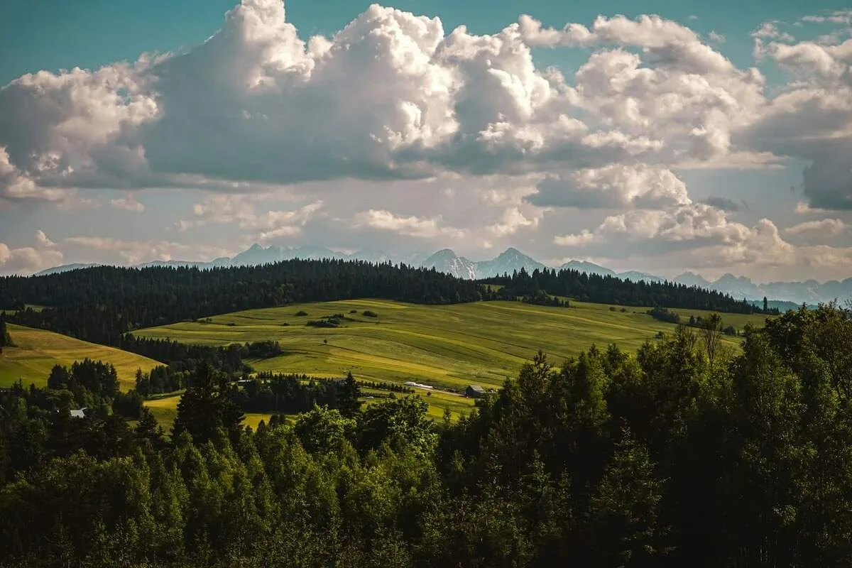 Fotograficzny przewodnik dla miłośników przyrody