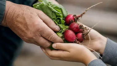 Zero waste na warszawskim targowisku. Będą pokazy i warsztaty