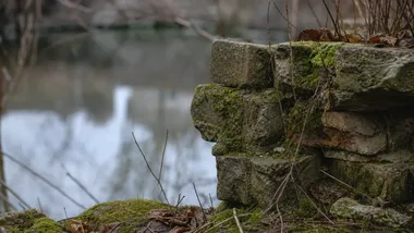 Badania Stawu Enklawa ujawniają udział podziemnego drenażu w obiegu wody
