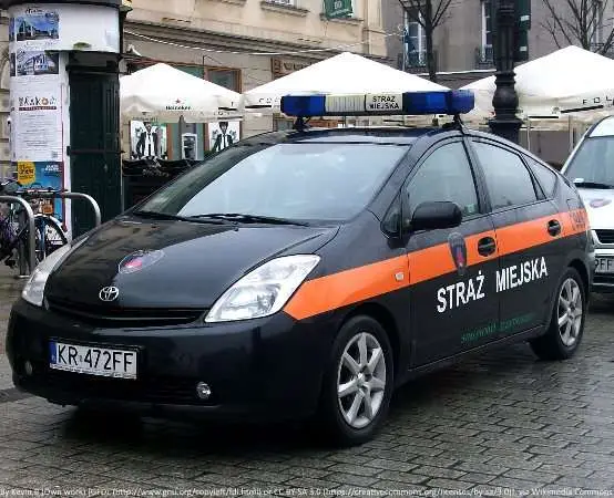 Strażnicy miejscy uratowali pobitych i nieprzytomnego agresora w Warszawie