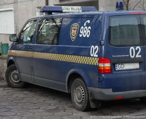 Nietrzeźwy na chodniku, pies uratowany przez matkę - interwencja na Żoliborzu