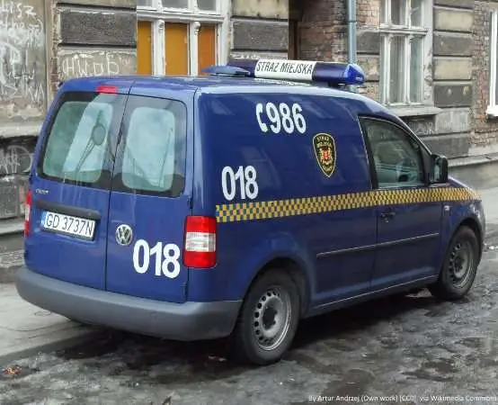 Potężny konar groził budynkowi na Pradze-Południe - mieszkańcy i służby uratowały sytuację