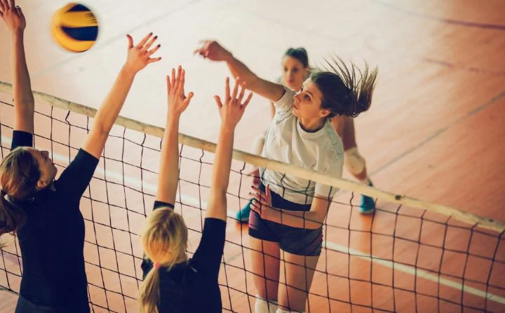 Siatkówka z PNH  - Narodowy Dzień Sportu