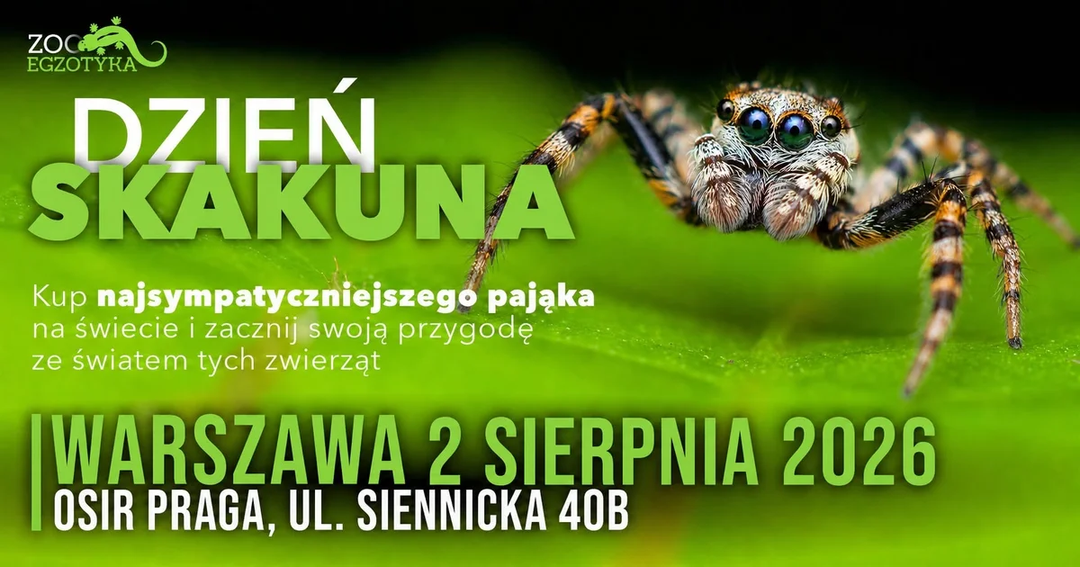 Grafika promocyjna wydarzenia Dzień Skakun Warszawa – pająki i bilety
