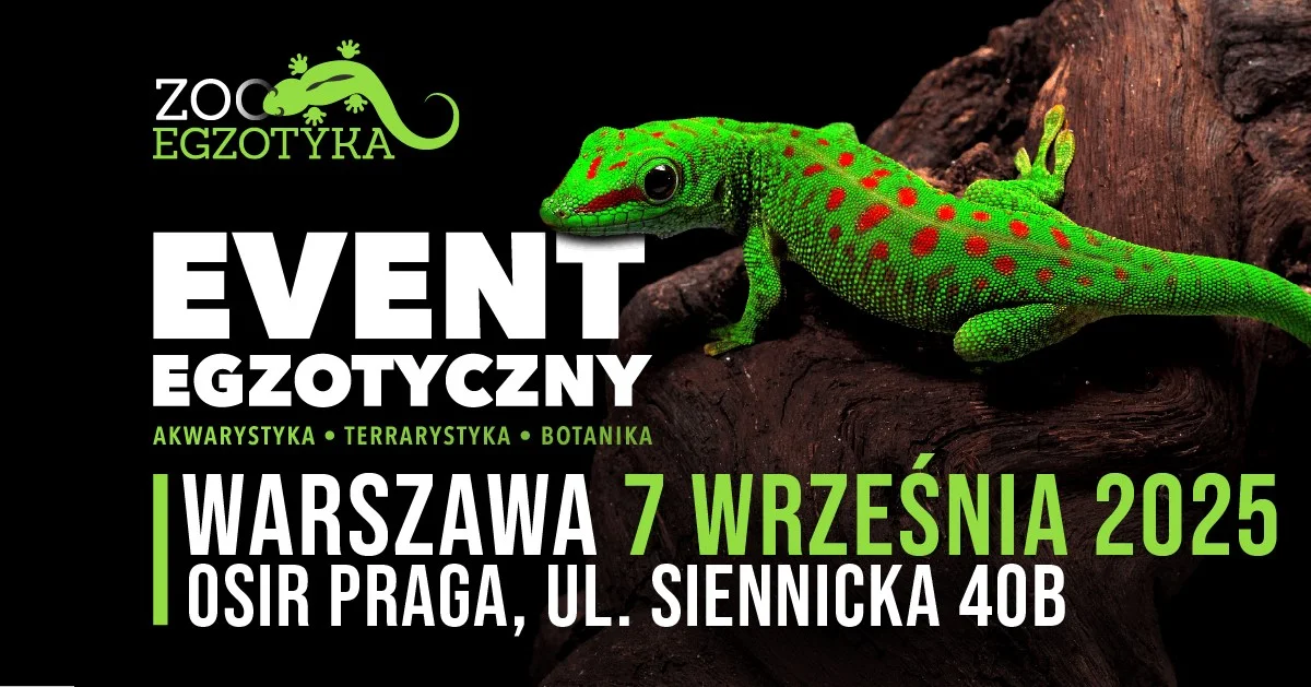 Grafika promocyjna wydarzenia Wystawa egzotycznych zwierząt i roślin w Warszawie