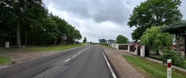 Prawie 17 kilometrów DK50 do remontu. Kierowcy jadą wahadłowo