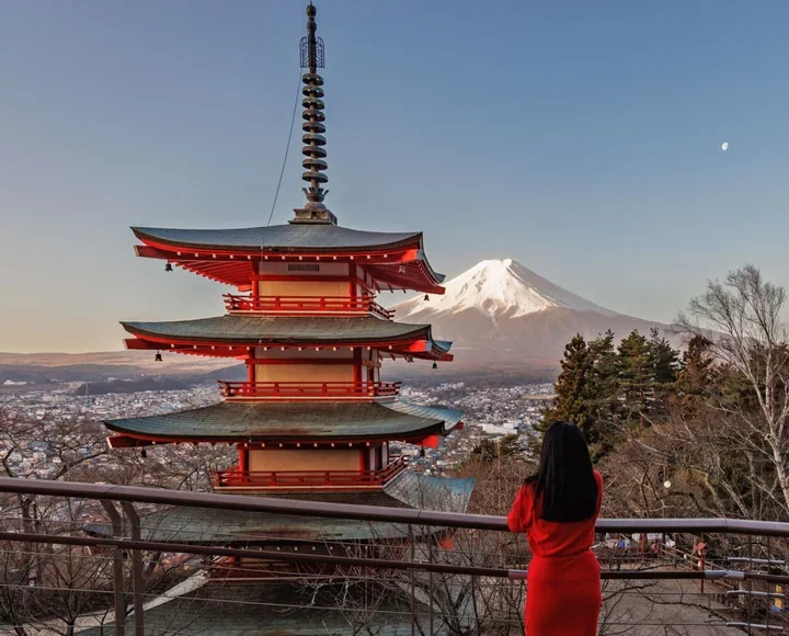 Jak gonić za kwitnącymi wiśniami - Japonia Edyty Chrząszcz w DK Kadr