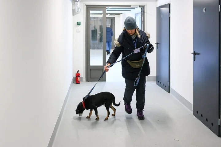 Kastracje, czipy i modernizacja schroniska – miasto zwiększa wsparcie dla zwierząt