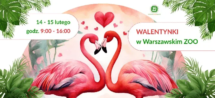 Walentynkowy weekend w ZOO – druga osoba za **1 zł** i gra „Sercowe rymowanki”