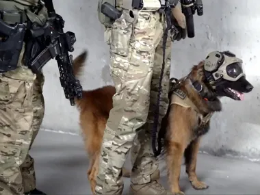 Pod przykrywką pracy w rolnictwie - stołeczna policja rozbiła handel ludźmi