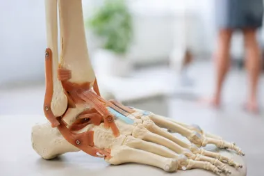 Szkolenie o biomechanice stopy i stawu skokowego odbędzie się w Warszawie