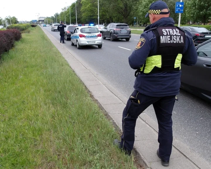 Potrącona suczka na Wisłostradzie - szybka akcja strażników i policji