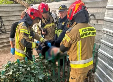 51-latek nadział się na ogrodzenie w centrum Warszawy. Strażacy wycięli płot
