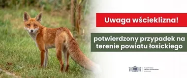Wścieklizna w powiecie łosickim. Psy i koty nie mogą opuszczać posesji