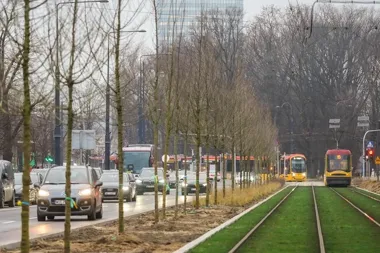 Warszawa zazielenia place i ulice. Ponad pół miliona nowych roślin