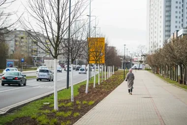 Na św. Wincentego wyrósł zielony pas, który zmienia całą ulicę